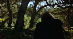 clip id #409