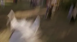 clip id #413